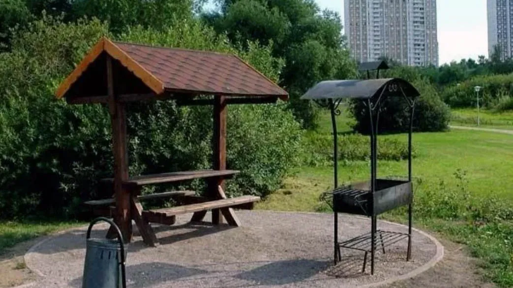 Фото: Комитет лесного хозяйства Московской области