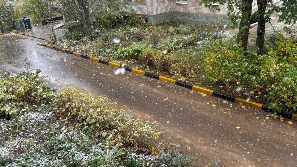 Фото: Алена Мельникова