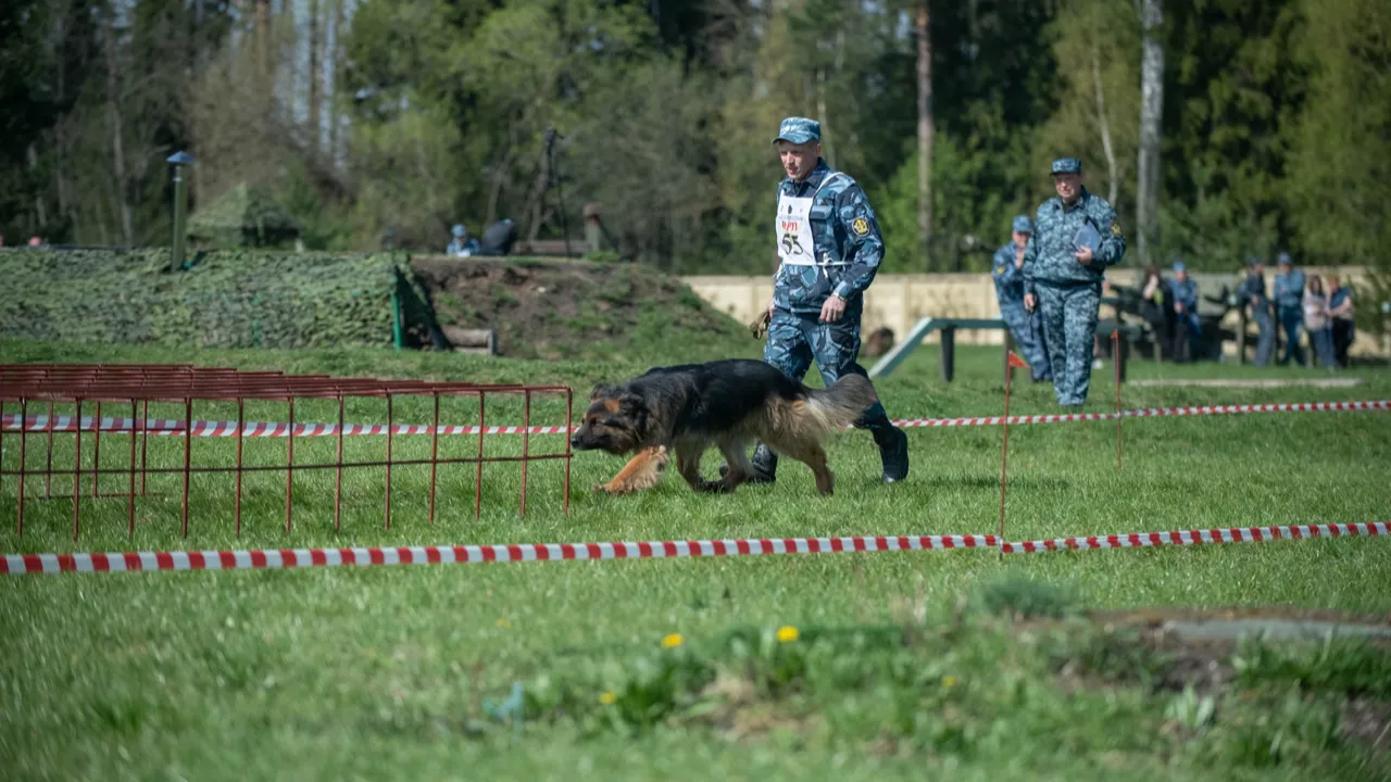 Зрители чемпионата восторгались красотой и мощью служебных собак