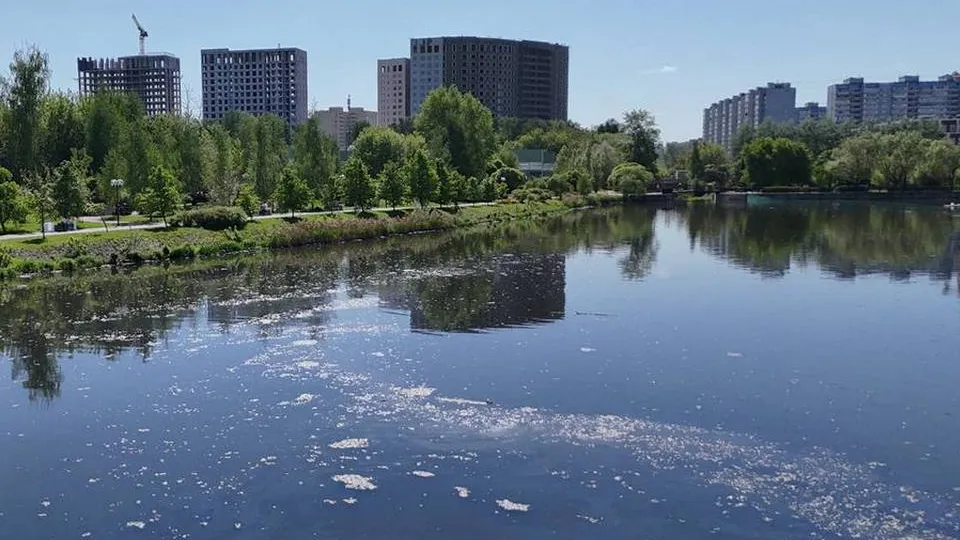 Фото: управление экологии городского округа Мытищи