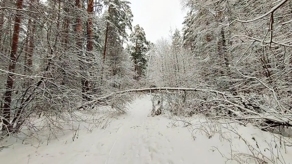 Алексей Селиверстов