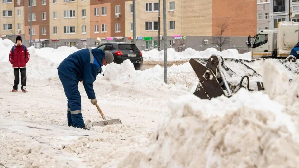 Фото: пресс-служба администрации г.о. Домодедово
