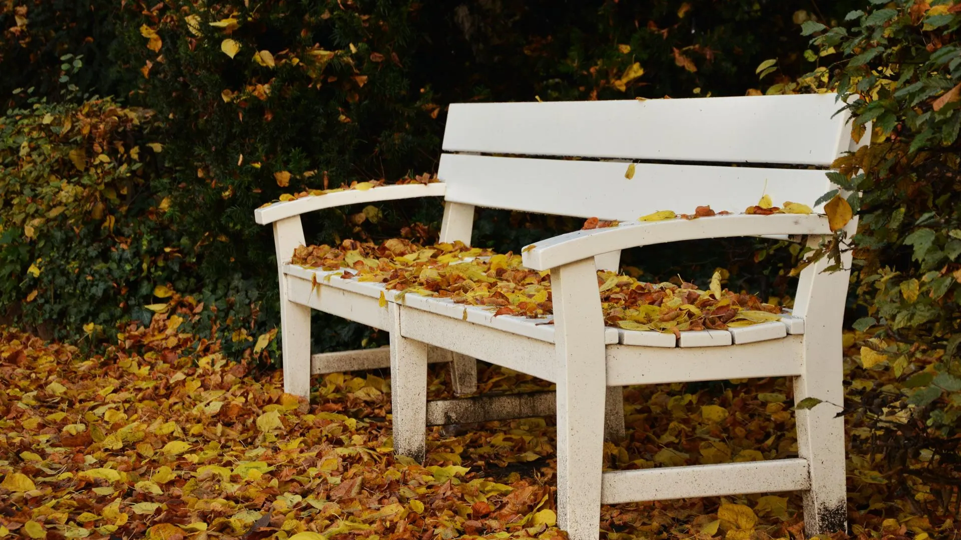 фото: pxhere.com