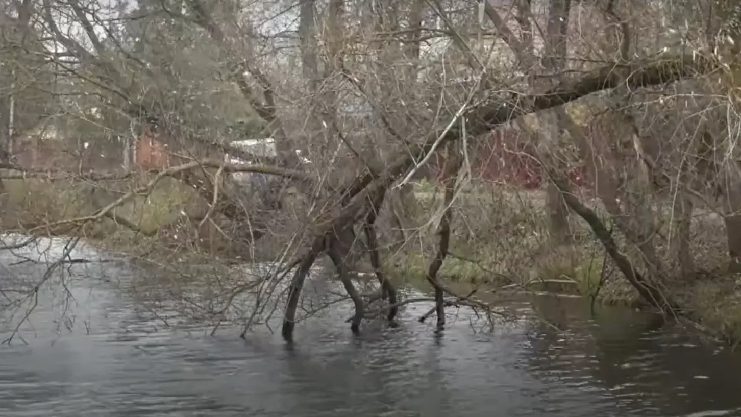 Телеканал 360