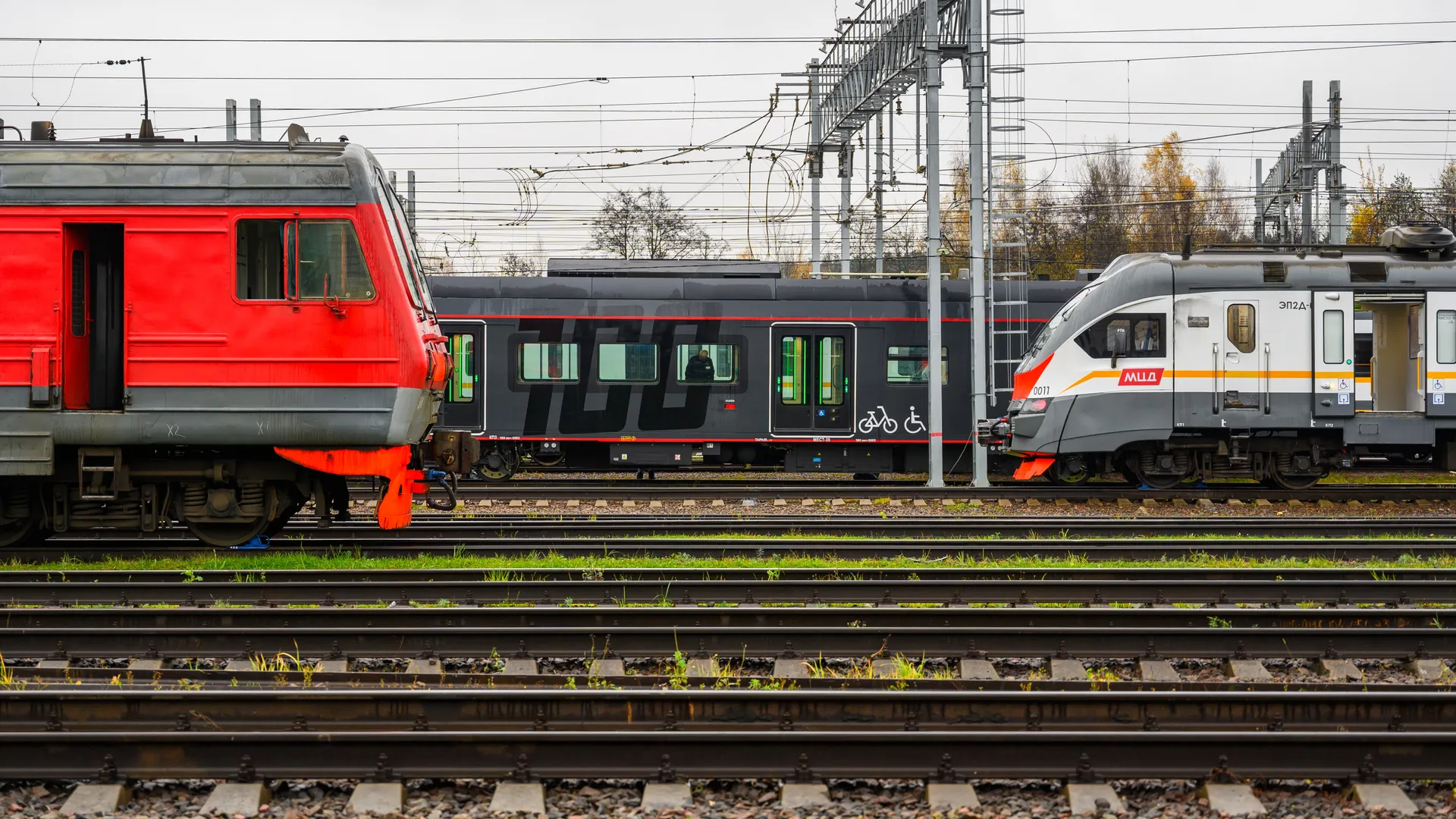 Фото: медиасток.рф