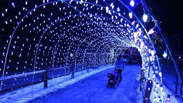 Конференция «Свет Подмосковья» пройдет 16-17 декабря