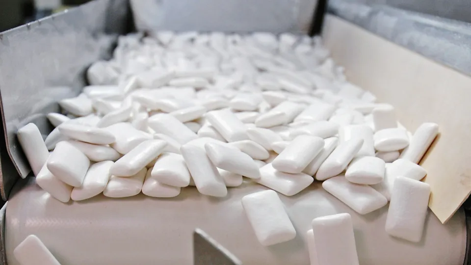 Фото: РИА Новости/Михаил Мордасов