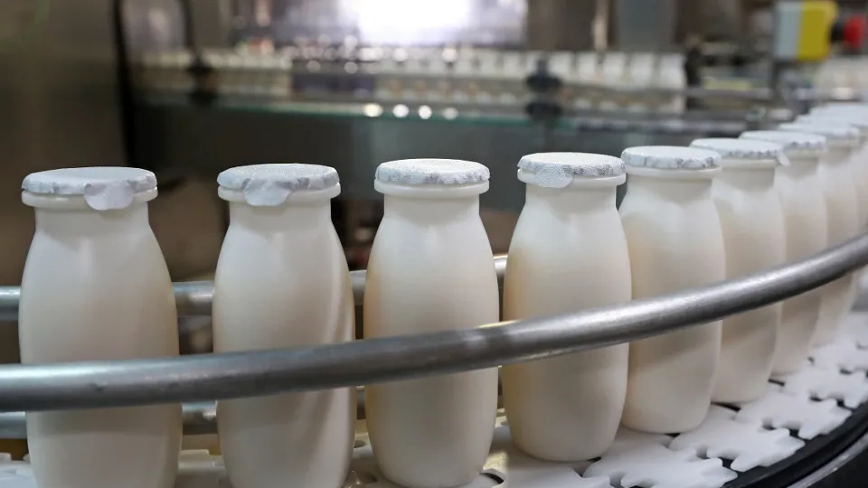 Фото: ТАСС/Станислав Красильников