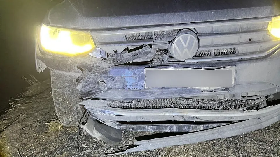 Фото: Комитет лесного хозяйства МО