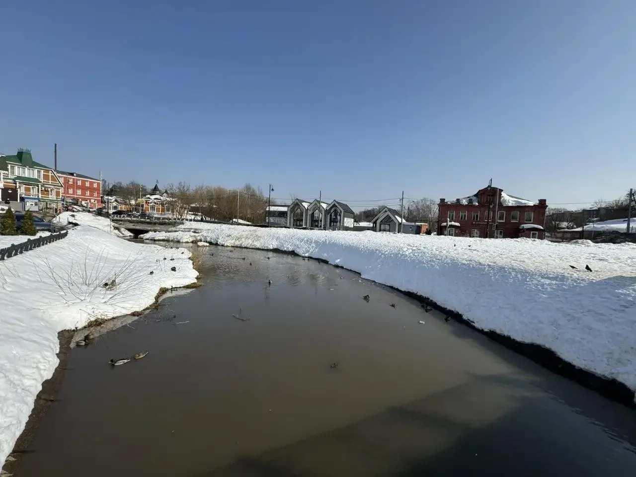 REGIONS/Татьяна Сташенко