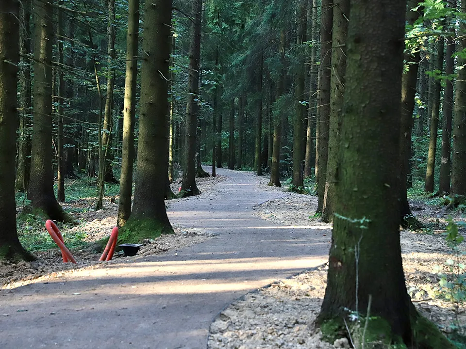 Фото: пресс-служба администрации г.о. Солнечногорск