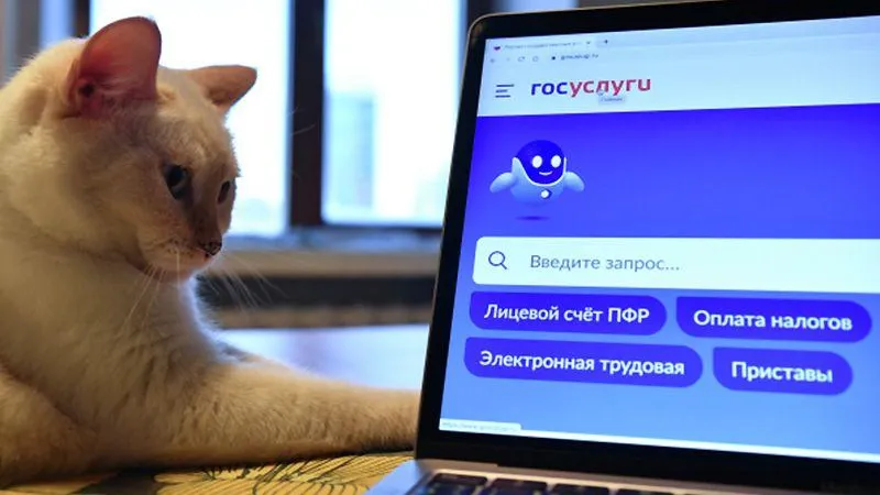 Депутат Госдумы высказался о возможности заказать волонтерскую книжку через «Госуслуги»