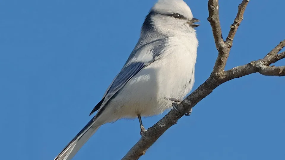 Фото: Барташов И. В.
