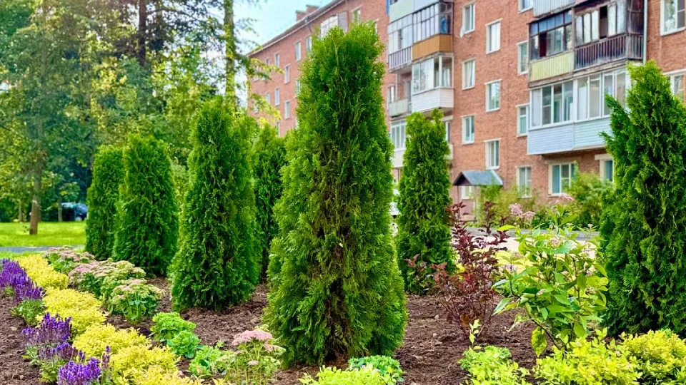 Фото: администрация городского округа Шаховская