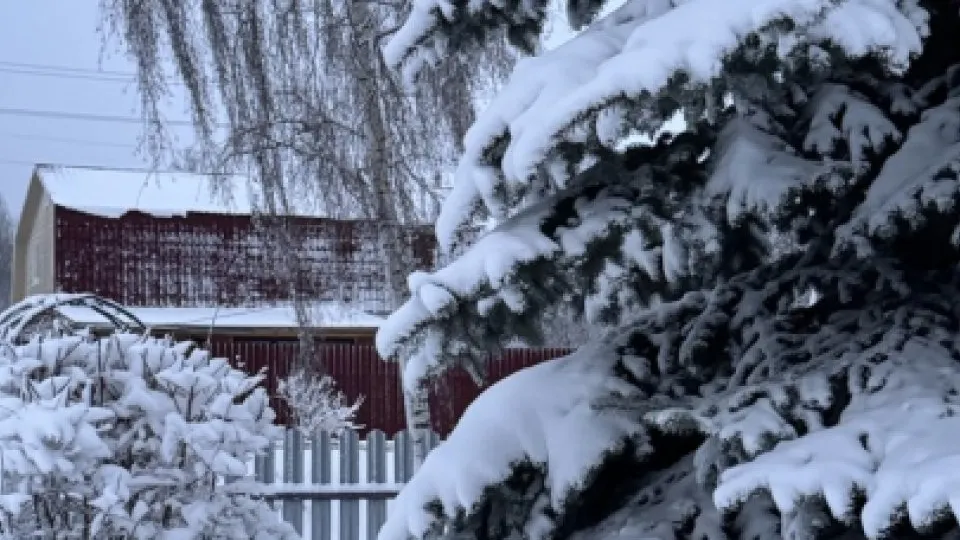 Фото: REGIONS/Дарина Левкина