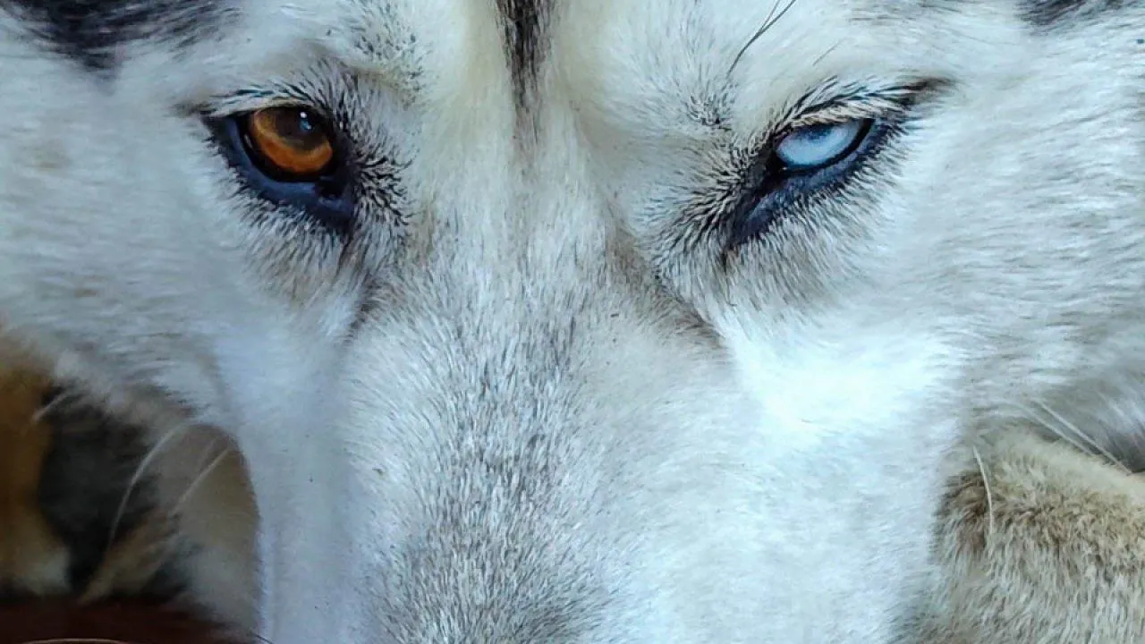 REGIONS/Максим Зубарев