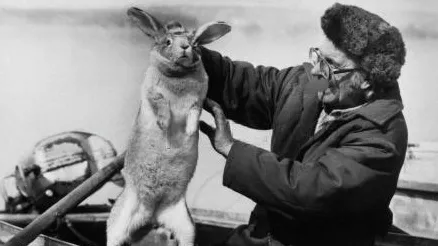 Разлив Оки в 1994 году/ТАСС