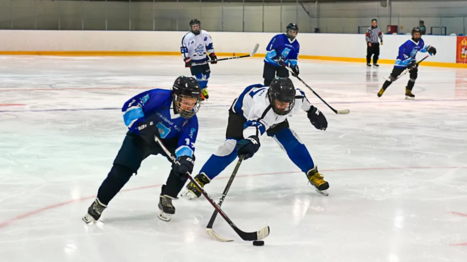 Фото: vk.com/Зарайский ледовый спортивный комплекс