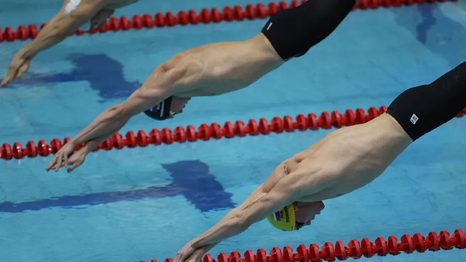 Фото: Федерация водных видов спорта России