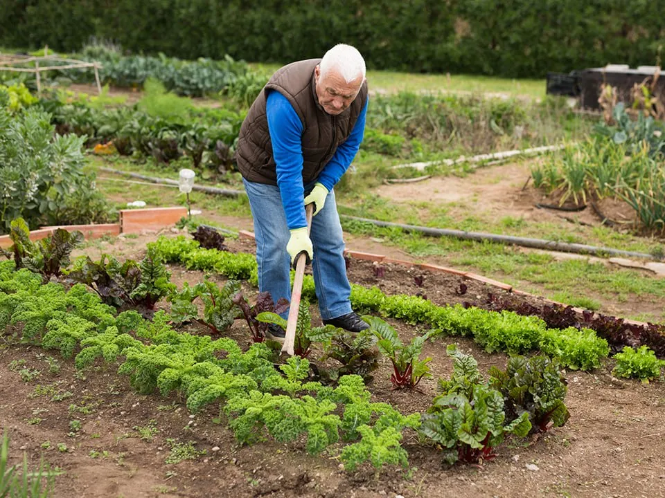 Фото: istockphoto.com