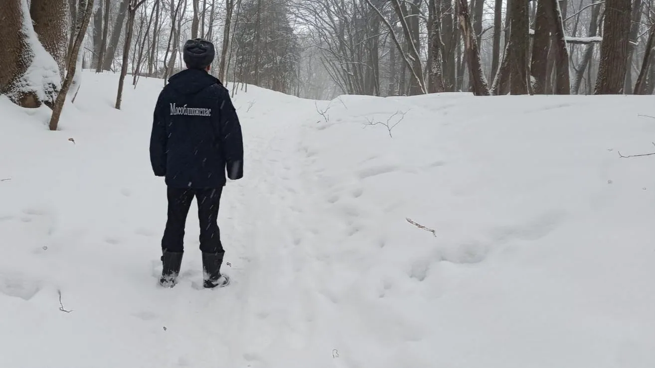 ГКУ МО «Мособлпожспас»