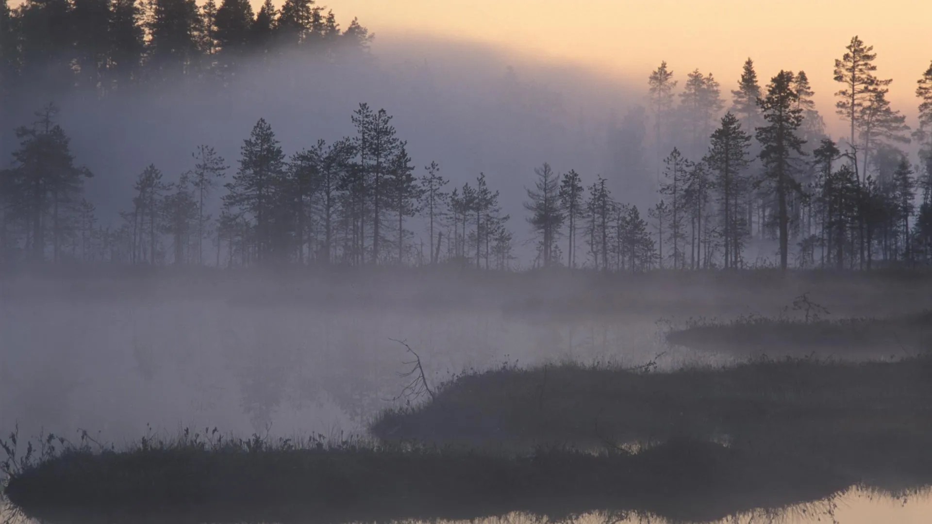 Viktor Gritsuk/Russian Look