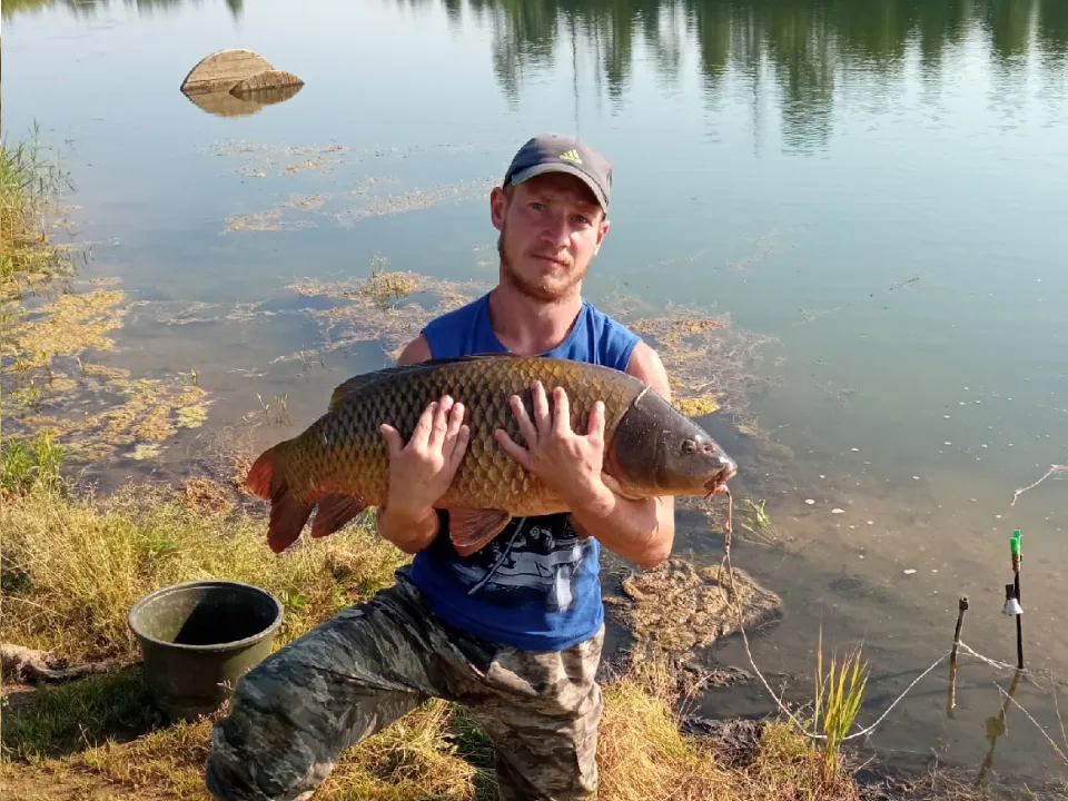 Фото:&nbsp;«ООО» Рыбхоз Тучково