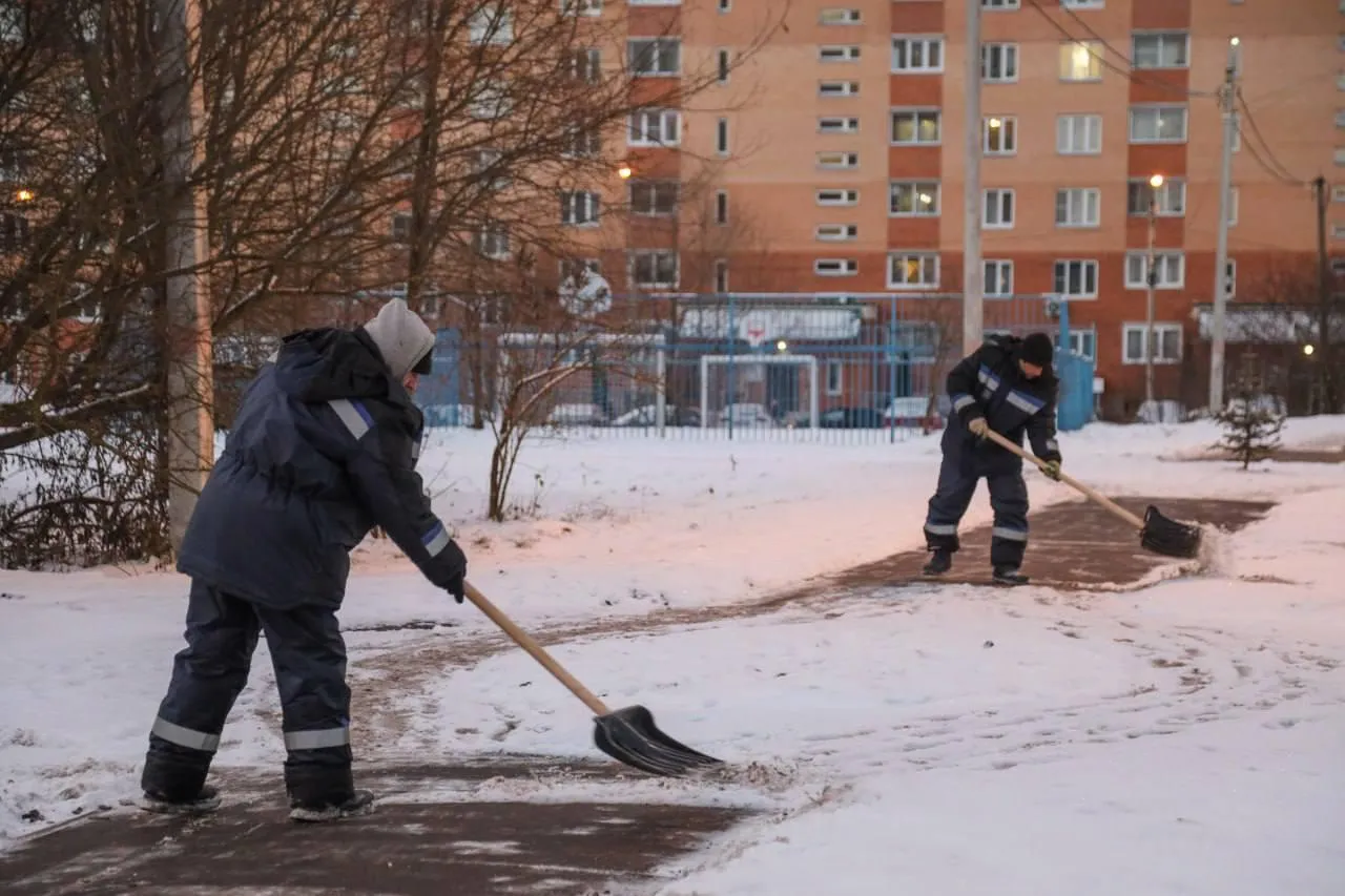 Фото: пресс-служба администрации Сергиево-Посадского г. о.