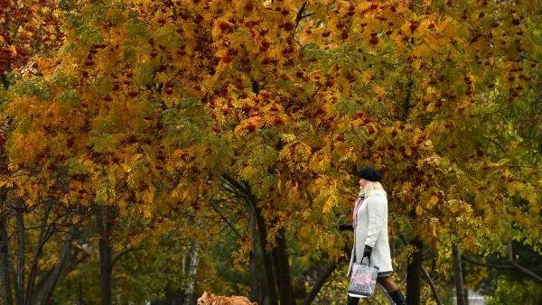 Александр Кряжев / РИА Новости