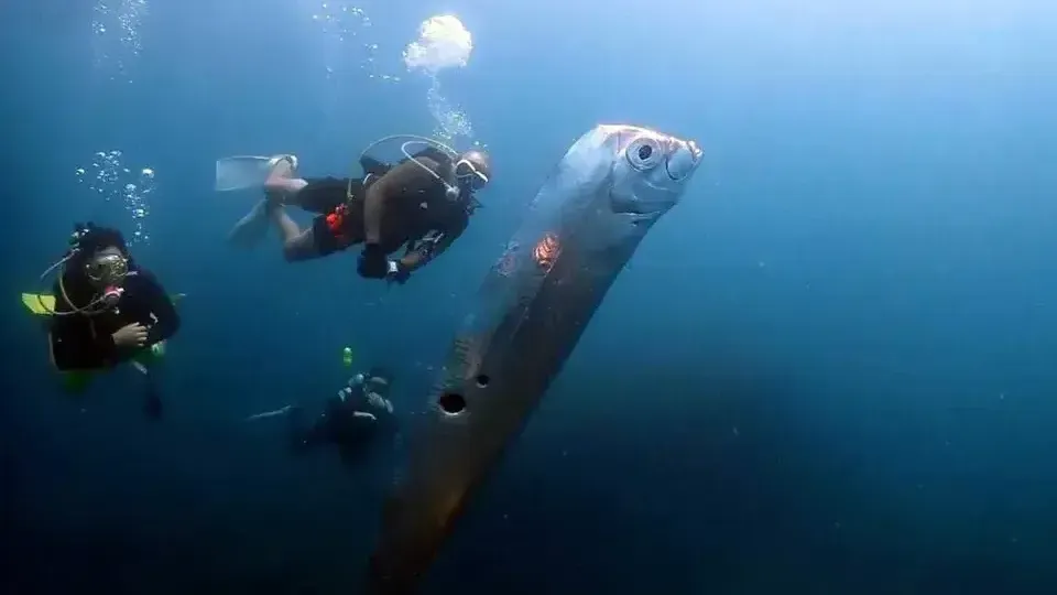 Фото из соцсетей