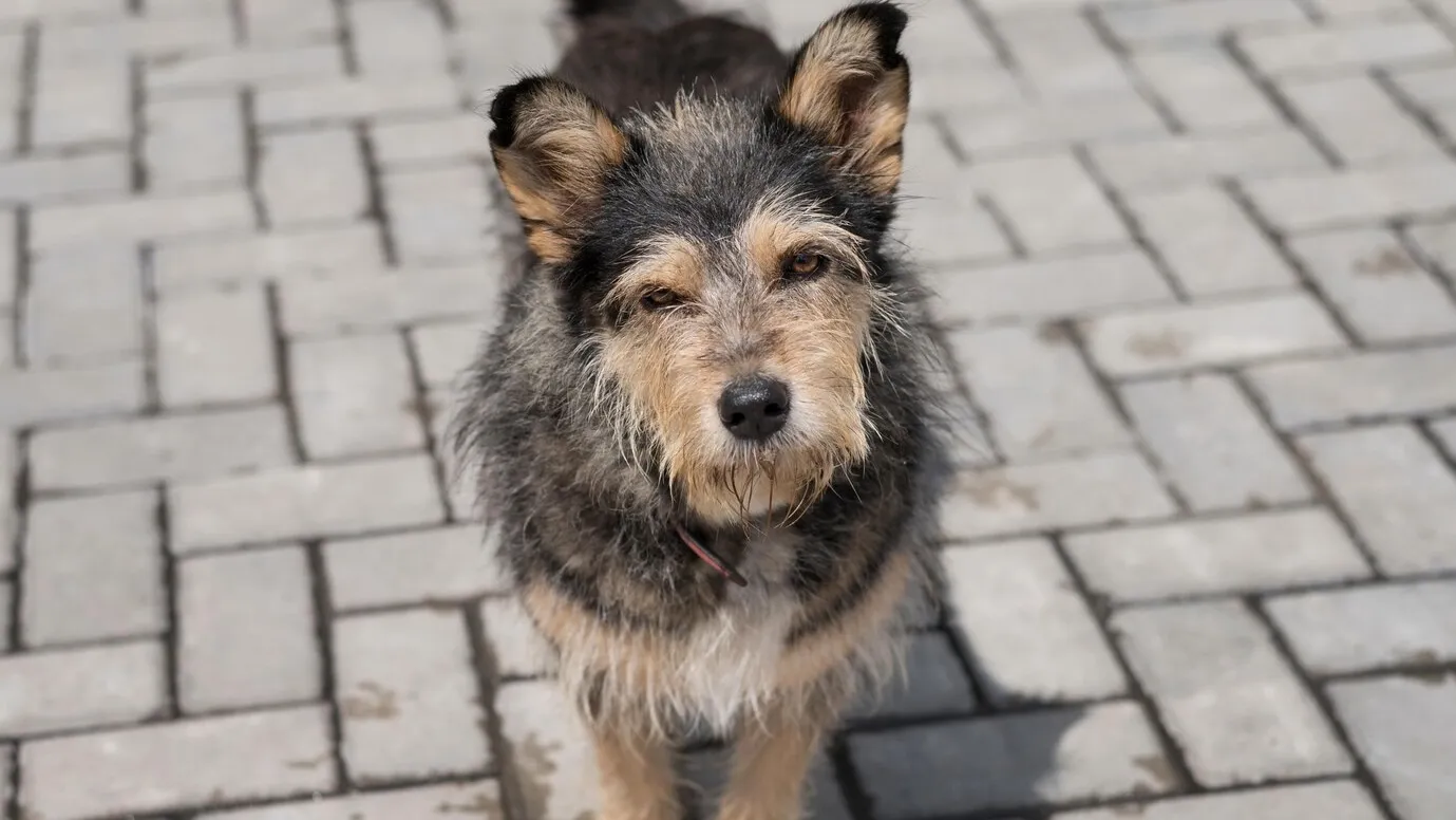 Фото: freepik.com