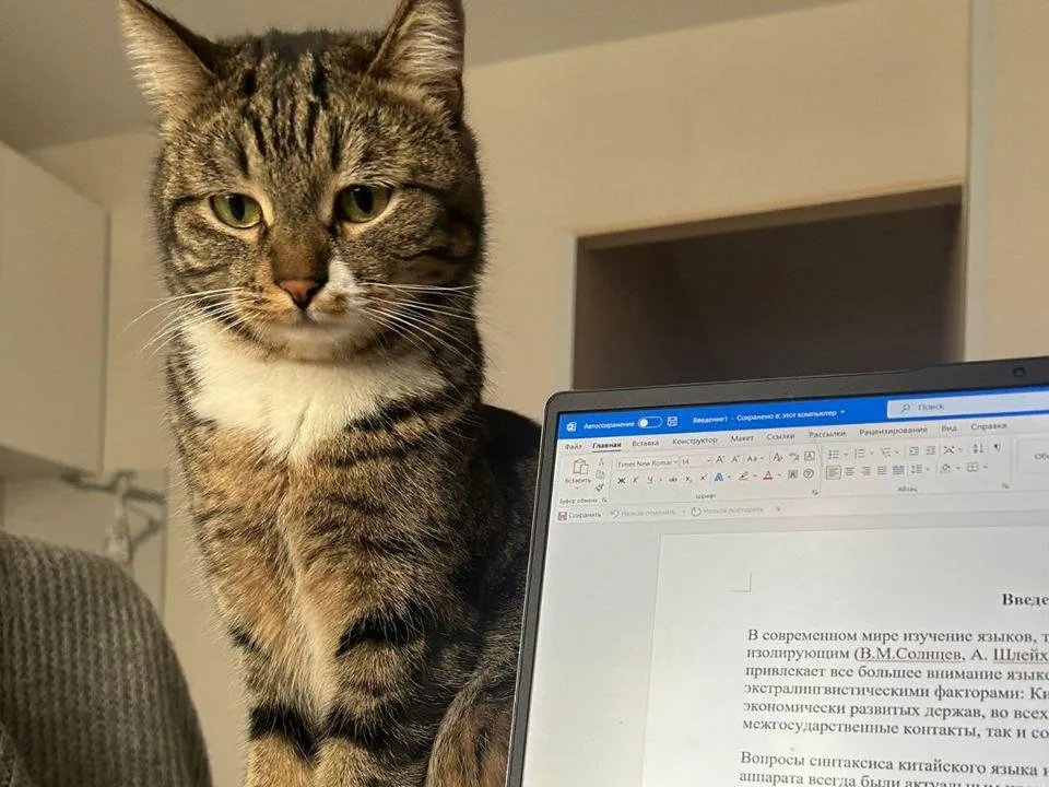 Фото: Министерство жилищной политики Московской области