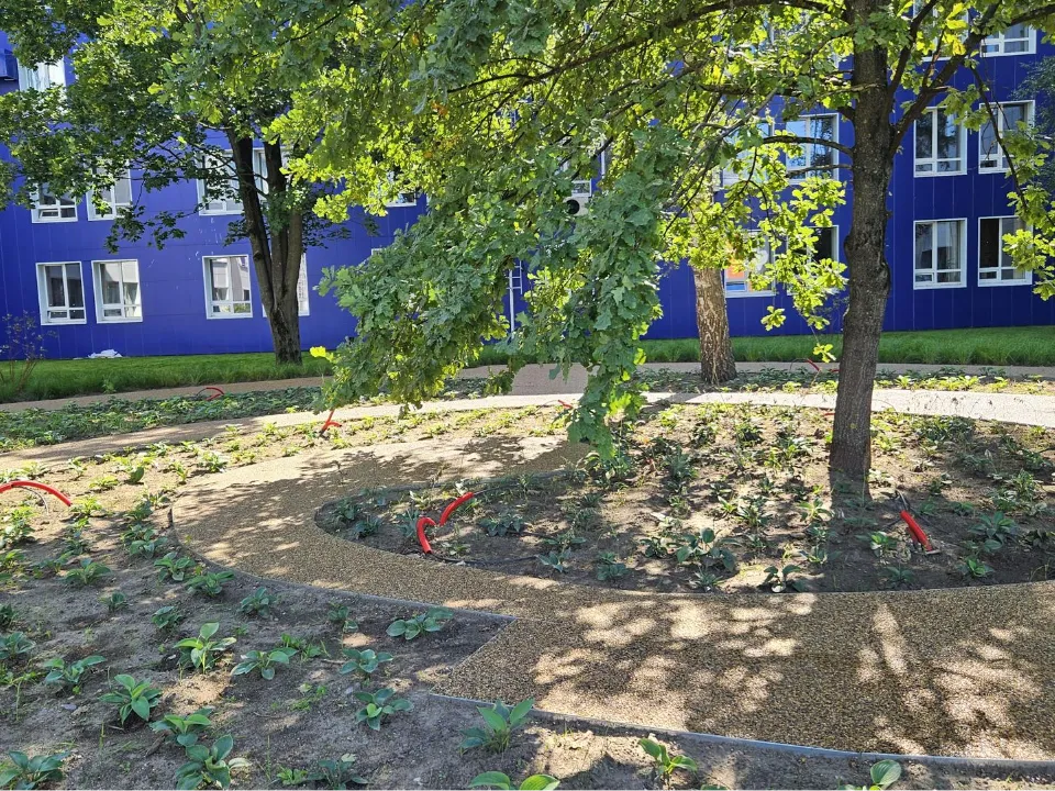 Фото: Ольга Вельшикаева