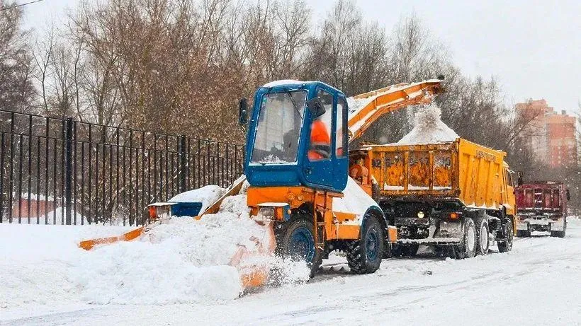 Фото пресс-службы Министерства благоустройства Московской области