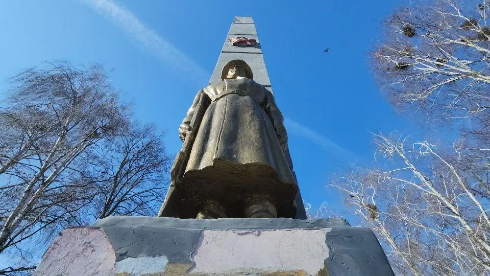 Фото: МедиаБанк Подмосковья/Юлия Скавронова