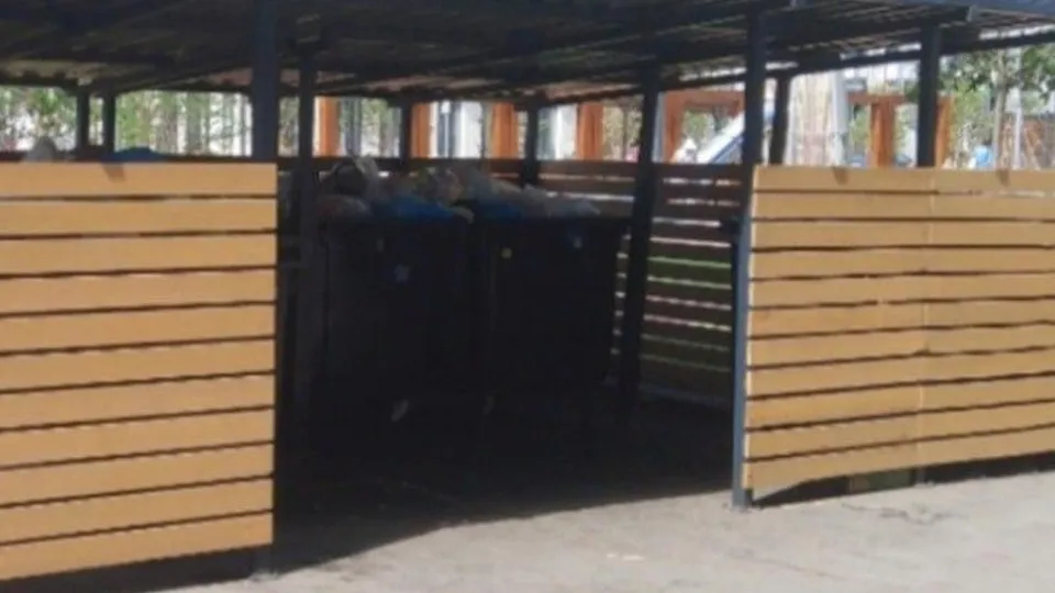 Фото: пресс-служба администрации городского округа Мытищи