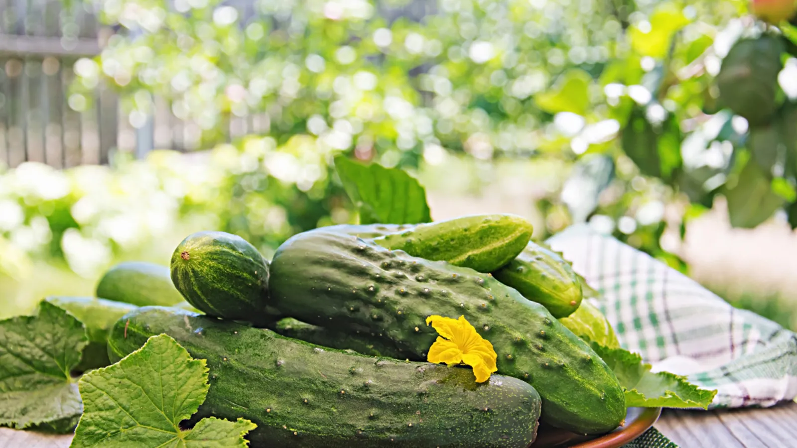 Фото: freepik.com