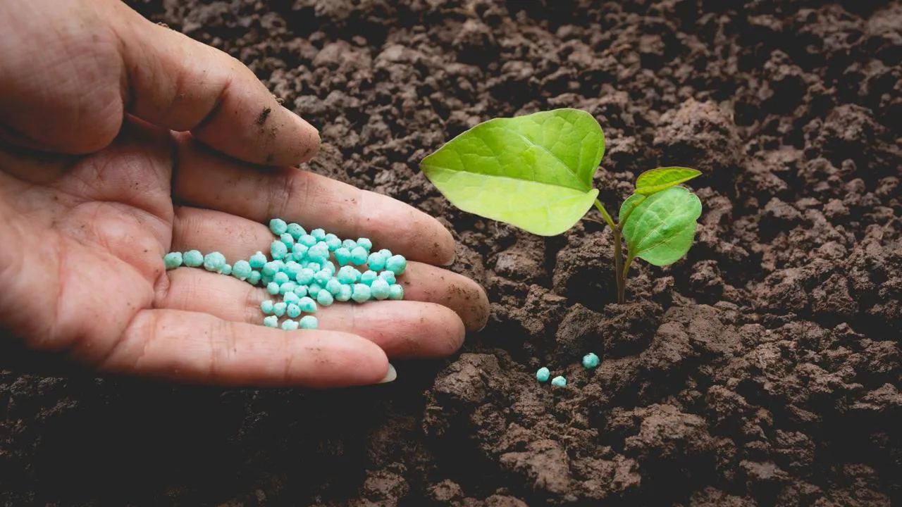 istockphoto.com/kirisa99