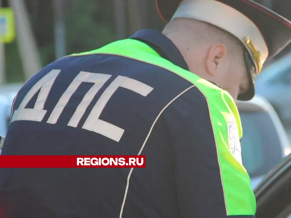 Фото: REGIONS/Василий Тремасов