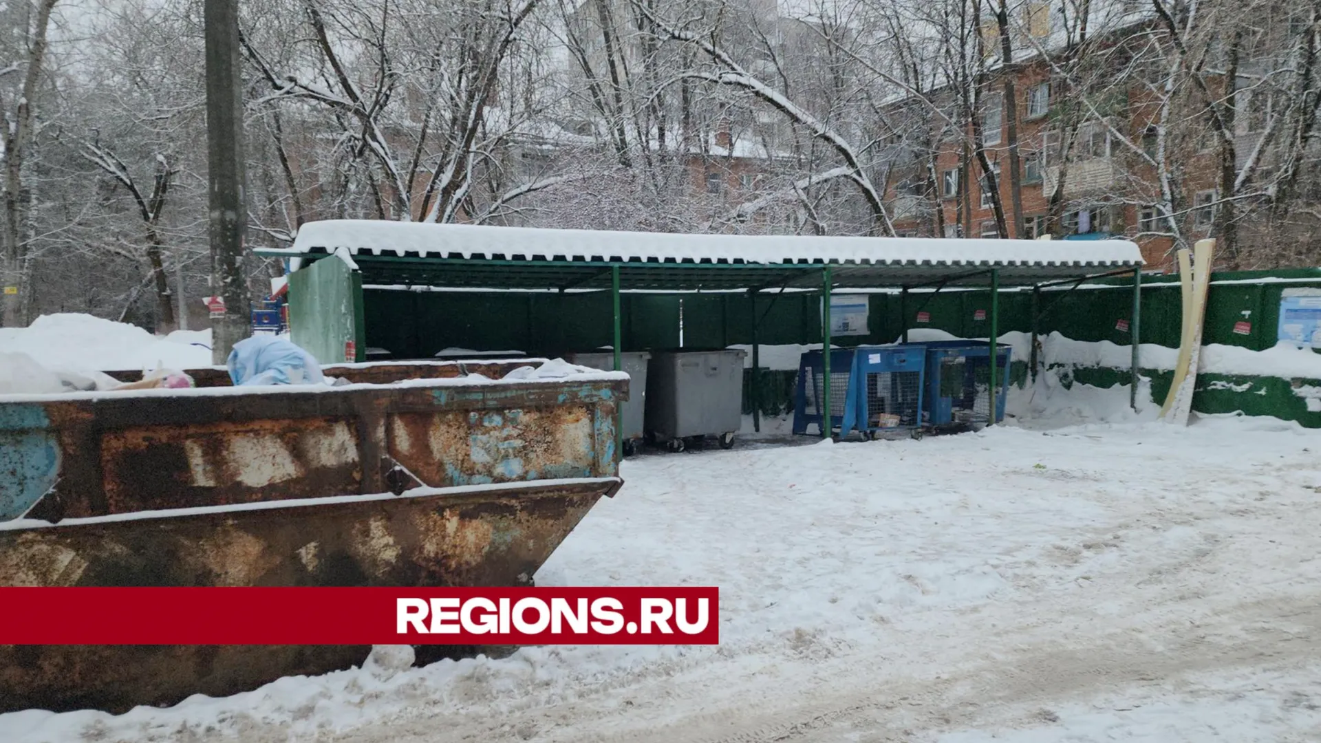 Фото: Дмитрий Павлов