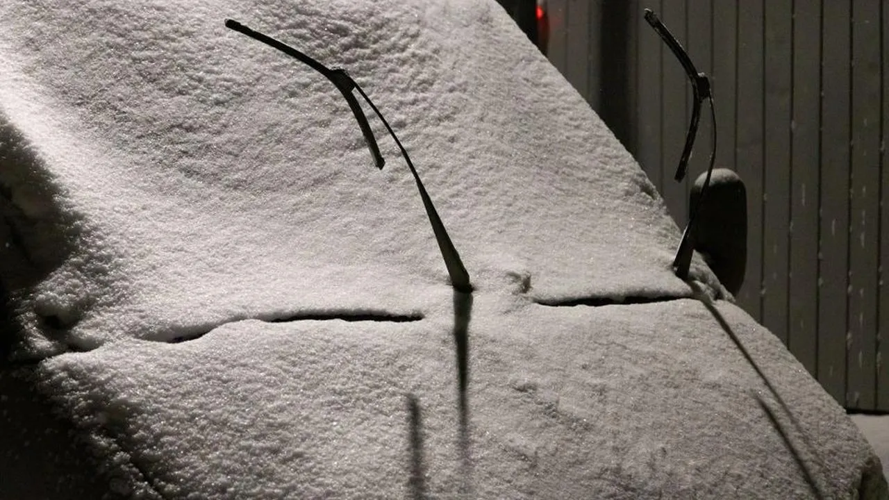 Фото: REGIONS/Владимир Ерастов