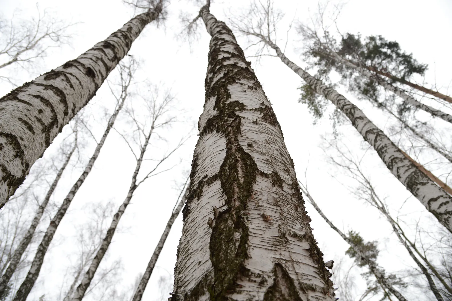 Фото: Нина Соколова