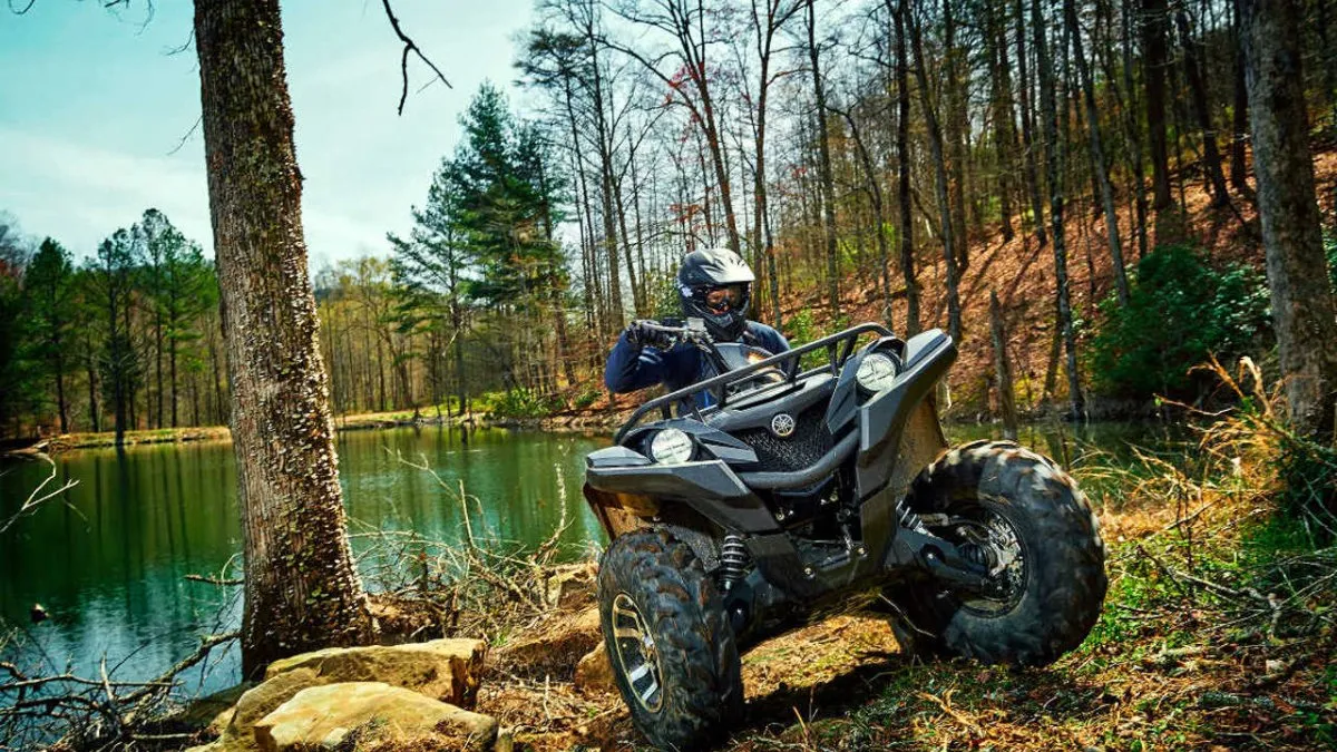 Фото: freepik.com