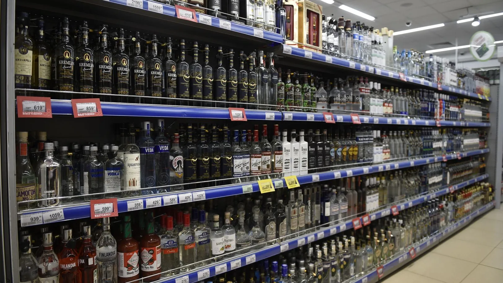 Фото: Медиаархив Подмосковья