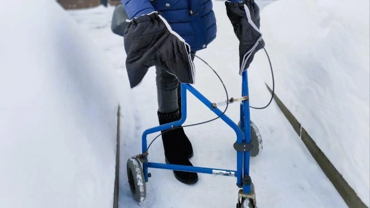 Социальный центр «Коломенский»