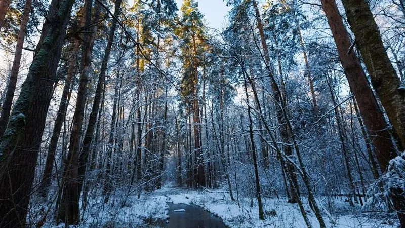 медиасток.рф