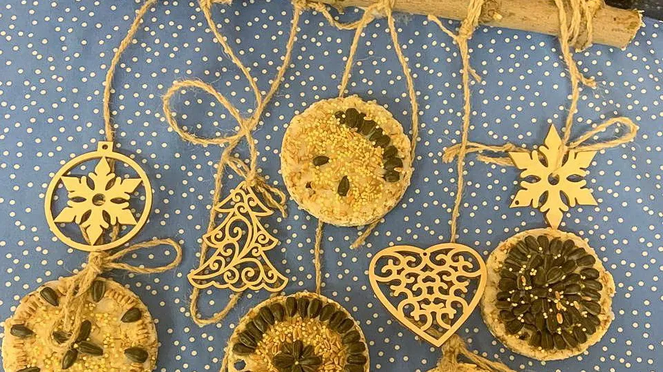 Фото: Комитет лесного хозяйства Московской области