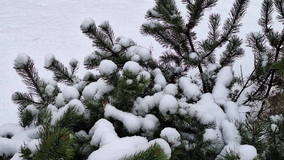 REGIONS/Катерина Антохина