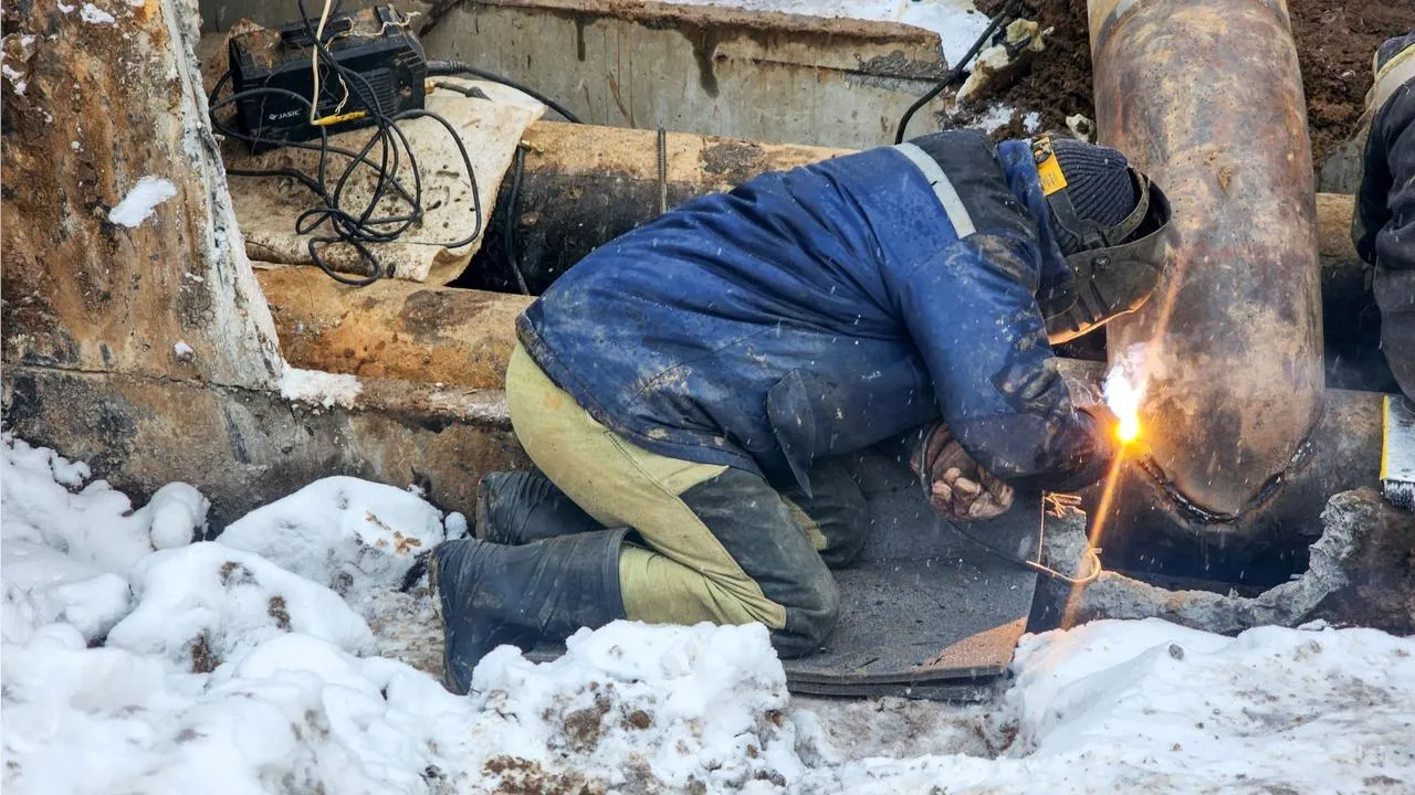 МедиаБанк Подмосковья/Мария Андрюхина