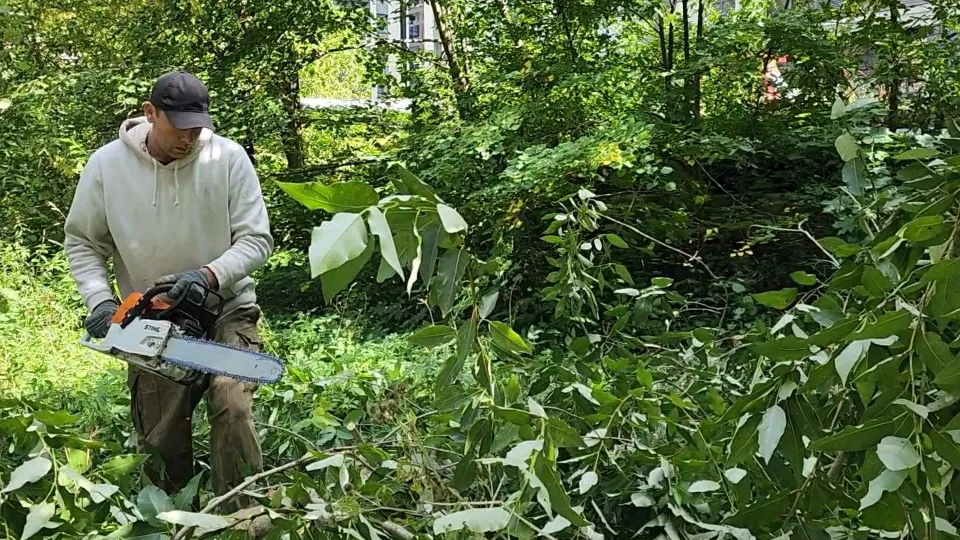 Фото: Кристина Тришина